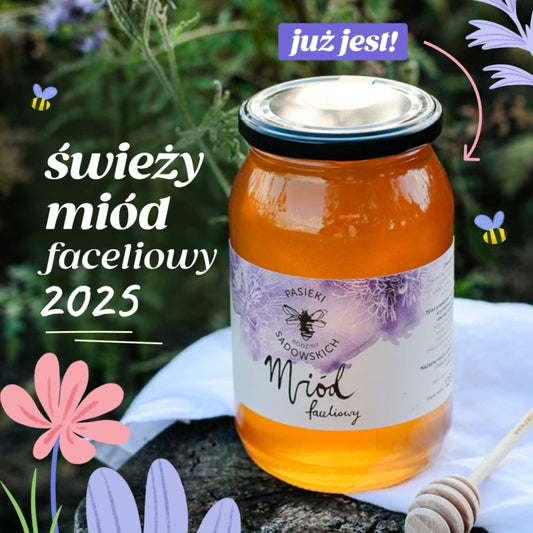 Miód faceliowy świeży 2025