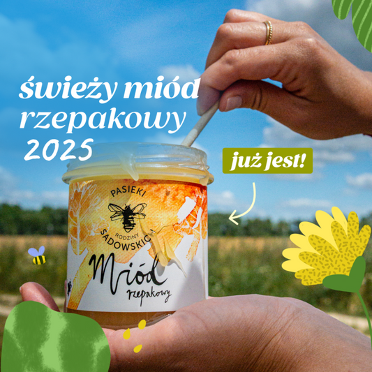 Miód rzepakowy świeży 2025